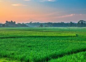 10 Kanal land for sale, Ideal for Investment Al-Kabir Town