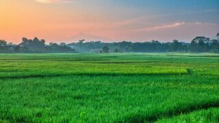 10 Kanal land for sale, Ideal for Investment Al-Kabir Town