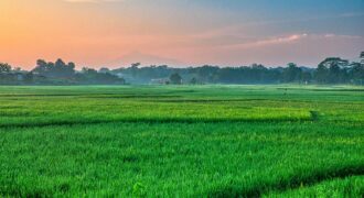 10 Kanal land for sale, Ideal for Investment Al-Kabir Town